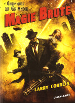 Magie brute